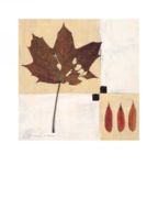 Indian Summer Anna  Conti