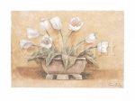 WHITE TULIPS Tara  King
