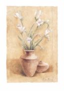 White Freesias Tara  King