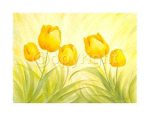 FUN TULIPS Susanne  Bach
