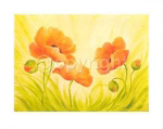 FUN POPPIES Susanne  Bach