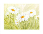 FUN DAISIES Susanne  Bach