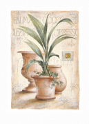 COCCO Claudia  Ancilotti
