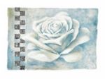 Silver Rose Claudia  Ancilotti