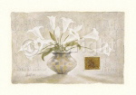 SICILIA Claudia  Ancilotti