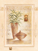 ST. TROPEZ Claudia  Ancilotti