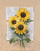 SUNFLOWER POETRY Laura  Martinelli