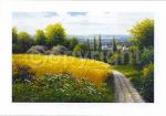 CORN FIELD Gerhard  Nesvadba