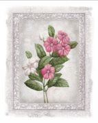 Flowers of Spring III Tom  Wood