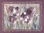 Harmony of Nature Clare   Hooper