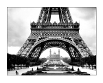LA TOUR EIFFEL ET LE VIEUX TROCADERO Roger  Viollet