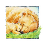 MOTHER BEAR'S LOVE II   Makiko