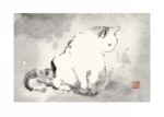 Oriental Cat III Dehong  Chen