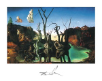 Cygnes reflechis en Elephants Salvador  Dali