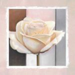 Just a Rose Tammara   Ross
