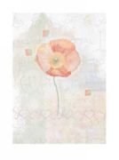 Poppies   Sanderini