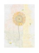 Sunflower   Sanderini