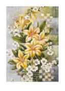 Spring I Bai  Xue