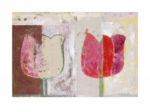 Tulip Variations I Pieterl L.  Schotman