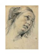 Testa di donna Guido  Reni