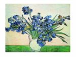 Iris Strauss Vincent  van Gogh