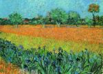Vue de Arles avec iris  Vincent  van Gogh