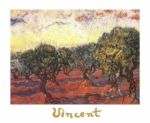 L'uliveto Vincent  van Gogh