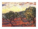 L'uliveto Vincent  van Gogh