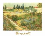 Garden with flowers Vincent  van Gogh