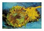 Tournesol Vincent  van Gogh