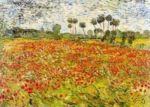 Field of Poppies, Auvers - sur - Oise Vincent  van Gogh