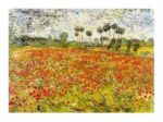 Field of Poppies, Auvers - sur - Oise Vincent  van Gogh