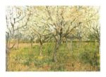 The Orchard Vincent  van Gogh