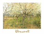 The Orchard Vincent  van Gogh