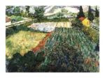 Field of poppies Vincent  van Gogh