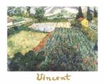 Field of poppies Vincent  van Gogh