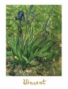 Irises Vincent  van Gogh