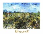 The green vineyard Vincent  van Gogh