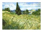 Oat field with cipress Vincent  van Gogh