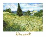 Oat field with cipress Vincent  van Gogh