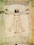 Schema delle proporzioni Leonardo  da Vinci