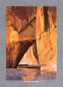 The Silderock Wall Christophe  Cassegrain