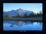The Blue Reflexion Christophe  Cassegrain