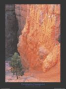 Serenade of Life, Bryce Canyon, Utah Christophe  Cassegrain