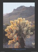 Devil's Garden, Arizona Christophe  Cassegrain