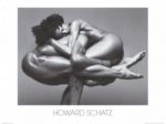 Untitle  Howard  Schatz