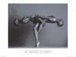 Untitle Howard  Schatz