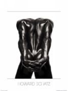 Untitle  Howard  Schatz