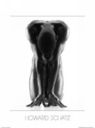 Untitle Howard  Schatz