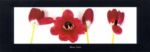 Four Red Tulips, 2000 Mina  Selis